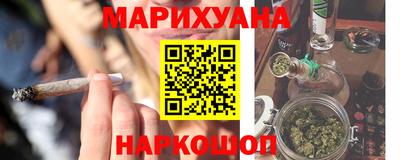 прущие грибы Новозыбков