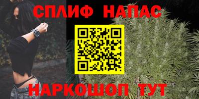 прущие грибы Новозыбков