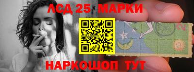 прущие грибы Новозыбков