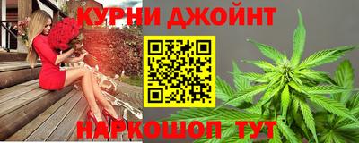 прущие грибы Новозыбков