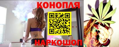 прущие грибы Новозыбков