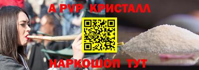 прущие грибы Новозыбков