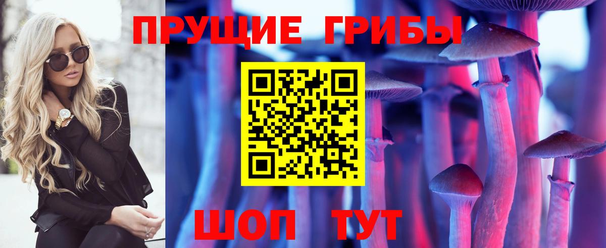 Псилоцибиновые грибы Psilocybe Черногорск